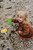 Classic Sand Tool Set
