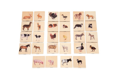 Domestic Animal Family Match - Every Educaid