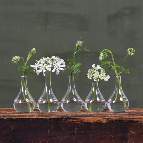 Quintuplet Joined Glass Posy Vases (Set Of 5) (384125)