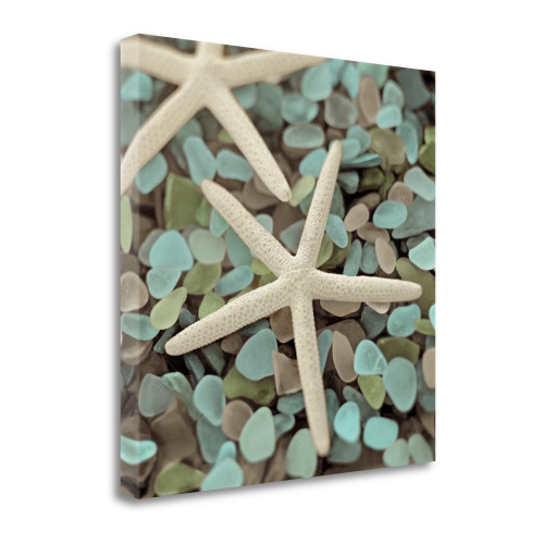 30" Starfish And Seaglass Giclee Wrap Canvas Wall Art (438543)