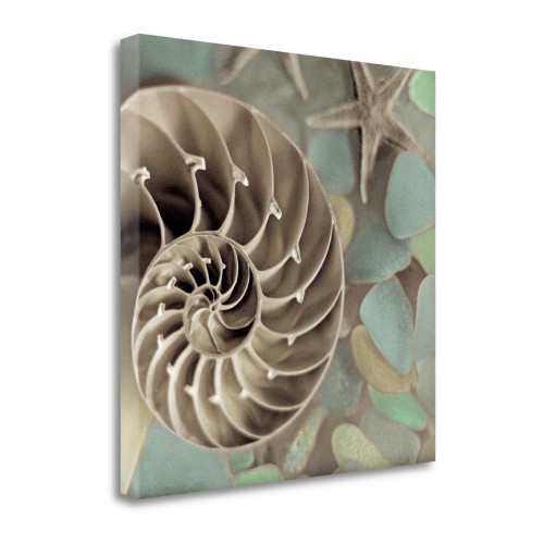 14" Snailshell And Seaglass 1 Giclee Wrap Canvas Wall Art (437811)