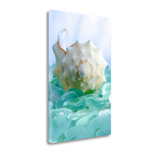 24" Conchshell And Blue Seaglass Giclee Wrap Canvas Wall Art (437851)