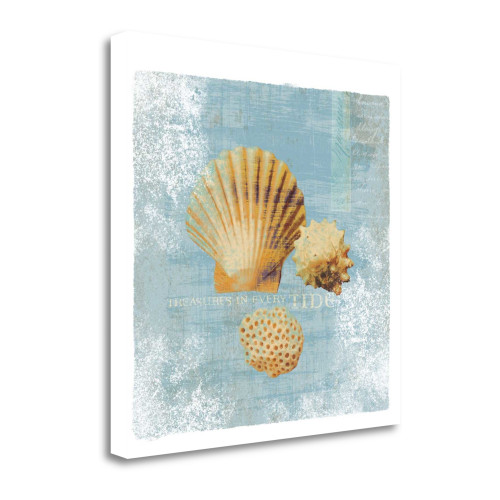 23" Blue Seashell Treasures Giclee Wrap Canvas Wall Art (454545)