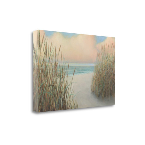 24" Natural Coastal Beach Trail Giclee Print On Gallery Wrap Canvas Wall Art (462027)
