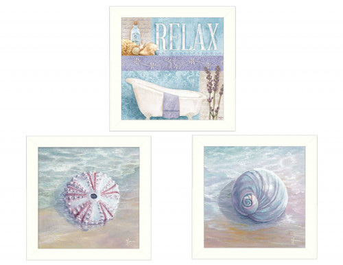 Set Of Three Shells I White Framed Print Wall Art (405679)