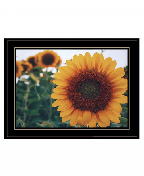 Midwest Livin Ii 4 Black Framed Print Wall Art (407618)