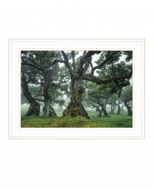 Enchanted Forest I 2 White Framed Print Wall Art (407839)