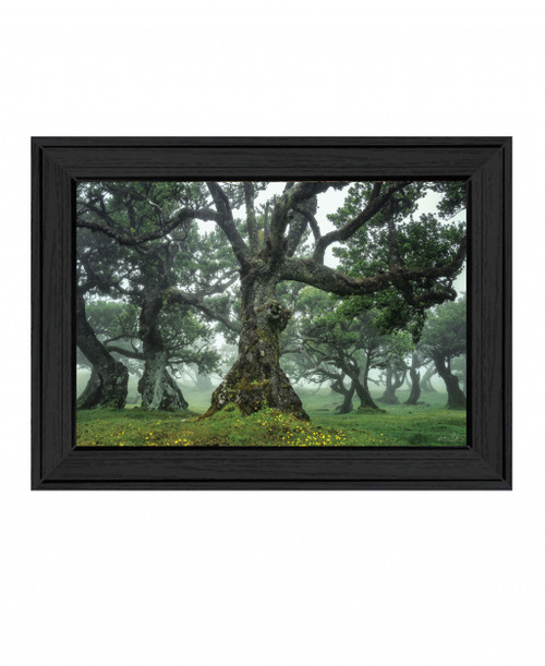 Enchanted Forest I 3 Black Framed Print Wall Art (407840)