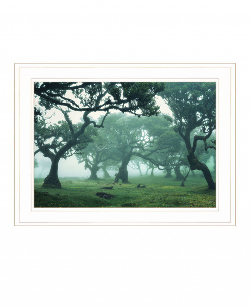 Enchanted Forest Ii 2 White Framed Print Wall Art (407842)