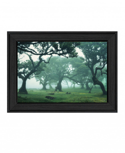 Enchanted Forest Ii 3 Black Framed Print Wall Art (407843)