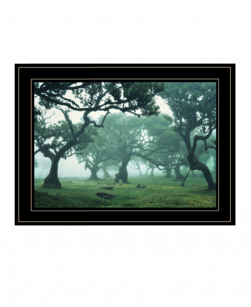 Enchanted Forest Ii 4 Black Framed Print Wall Art (407844)