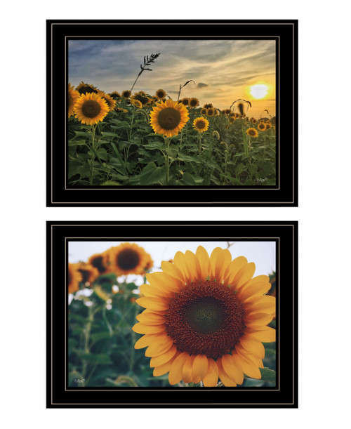 Set Of Two Midwest Living Collection 2-Piece 3 Black Framed Print Wall Art (407952)
