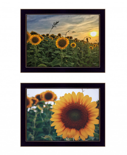 Set Of Two Midwest Living 4 Black Framed Print Wall Art (408175)