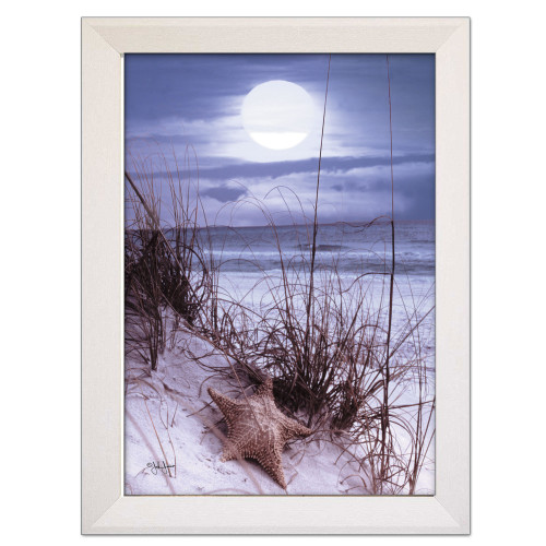 The Seashore White Framed Print Wall Art (415374)