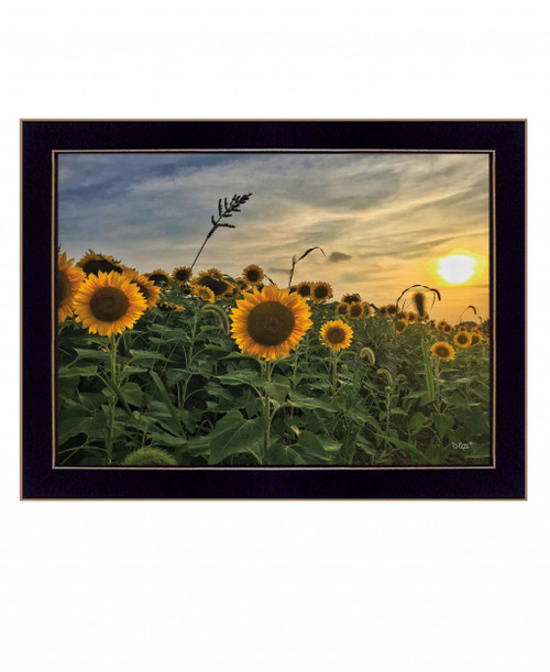 Midwest Living I Black Framed Print Wall Art (416211)