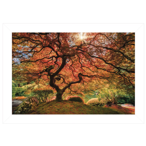 First Colors Of Fall I 1 White Framed Print Wall Art (405074)