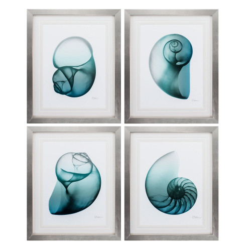 26" X 32" Silver Frame Blue Shell (Set Of 4) (365777)