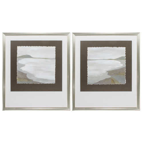 31" X 36" Silver Frame Coastal Contour (Set Of 2) (365631)