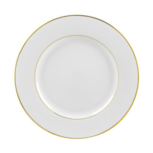 Gold Double Line 9.13" Dinner Plates- Pack Of 24 (GLD0002)