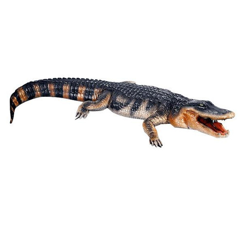 Lifesize American Alligator (10773066)