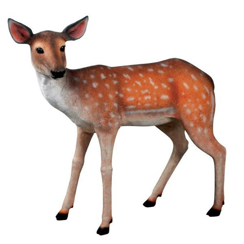 Fallow Deer - Fawn Statue (11045204)