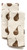 Set Of Four Light Brown Pear Pattern Placemats And Four Matching Napkins (389011)