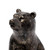 Metallic Tone Grizzly Bear Bookends (392139)