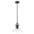 Matte Black Hanging Light With Glass Dome Shade (398181)