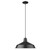 Industrial Matte Black Hanging Light (398234)