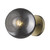 Gold And Smoked Glass Wall Light (398791)