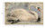 Vintage Look French Swan Large Wall Art (401570)