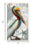 Colorful Pelican Wall Decor (401574)