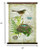 Vintage Song Bird Large Tapestry Wall Decor (401616)