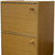 Standard Natural Double Door Verticle Book Shelf (469072)