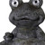20" Happy Frog Birdbath Birdfeeder Solar Outdoor Statue (473233)