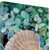 25" Seashell And Seaglass Giclee Wrap Canvas Wall Art (437821)