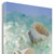 1" Conchshell And Seaglass Giclee Wrap Canvas Wall Art (437846)