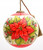 Poinsettia Flower Hand Painted Mouth Blown Glass Ornament (477440)