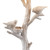 22" White Birds In A Tree Table Lamp With White Drum Shade (485192)
