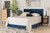 Abberton Modern And Contemporary Navy Blue Velvet And Gold Metal Queen Size Panel Bed Abberton-Navy Blue Velvet-Queen