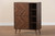 Keiran Mid-Century Modern Walnut Brown Finished Wood 2-Door Shoe Cabinet SESC88002WI-CLB-Shoe Cabinet