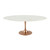 Lippa 78" Oval Dining Table EEI-3261-ROS-WHI