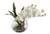 White Orchids Bubble Bowl (12025267)