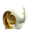 White And Gold Elephant (12024773)