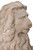 Kc Heraldic Lions (11107014)