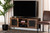 Valeska Modern Industrial Walnut Brown Finished Wood And Black Metal 2-Door Tv Stand NL2020307-TV Stand