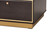 Cormac Mid-Century Modern Transitional Dark Brown Finished Wood And Gold Metal 2-Drawer Coffee Table LV28CFT28140-Modi Wenge-CT