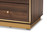 Cormac Mid-Century Modern Transitional Walnut Brown Finished Wood And Gold Metal 2-Drawer Nightstand LV28ST28240-Walnut-NS