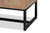 Darien Modern And Contemporary Natural Brown Finished Wood And Black Metal 2-Door Storage Cabinet LC21020904-Tan Wood-Cabinet