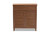 Coolidge Modern And Contemporary Walnut Finished 4-Shelf Wood Shoe Storage Cabinet With Drawer FP-02LV-Walnut